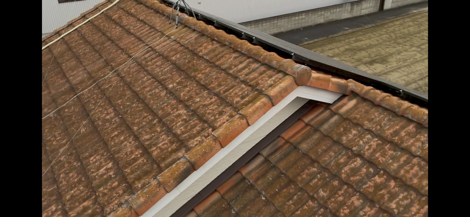 色褪せと苔が発生したモニエル瓦の棟部分